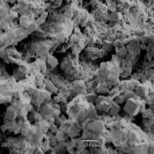 microscopic concrete