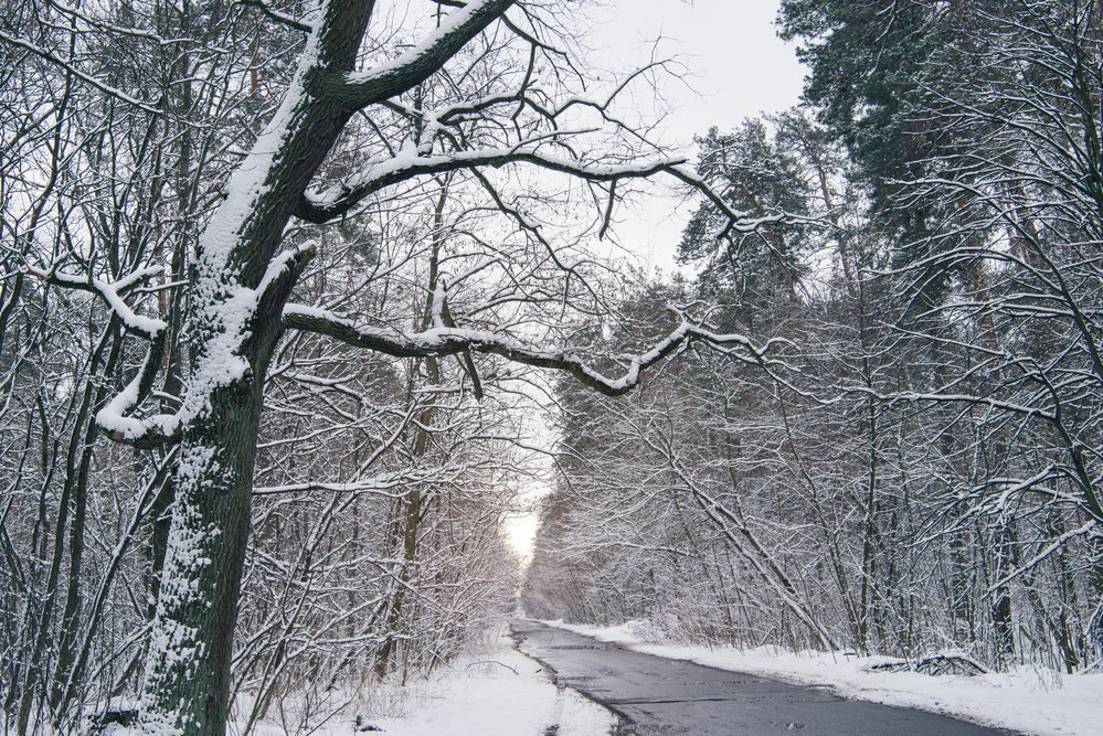 How Winter Weather Conditions Cause Concrete Damage | Lift ...